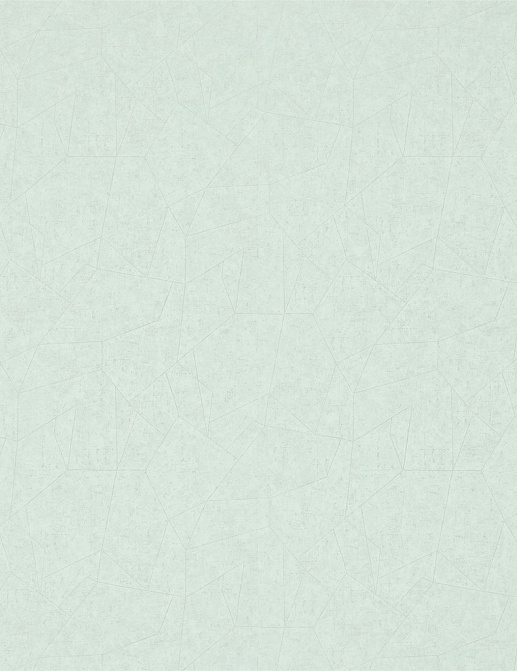 Обои Zoffany Prism Vinyls 311792