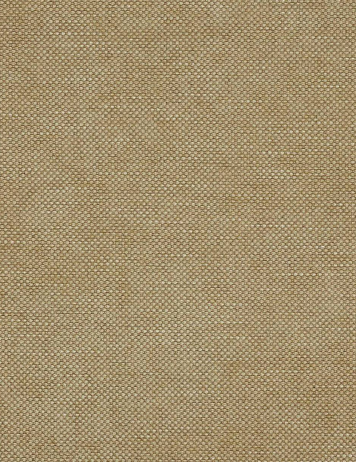 Ткань Colefax and Fowler Colour Library Natural F3831/13