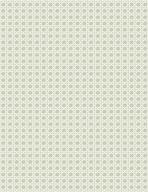 Обои Paper & Ink Natural Silhouettes NS51204