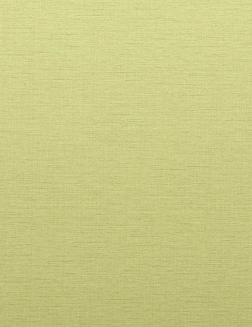 Обои Phillip Jeffries Performance Vinyl 8195