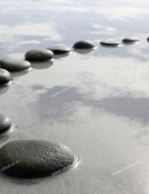 Панно и фотообои A. S. Creation XXL II 371 Black Stones In Circle