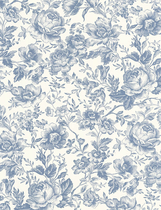 Обои Casadeco Les Belles Toiles de Jouy 2 BTJD201726505