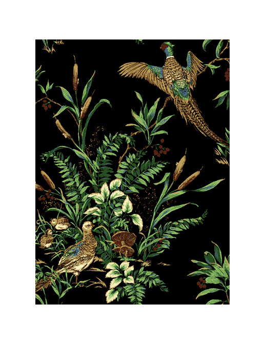 Обои Jaima Brown Retreat Pheasant-Run-Black
