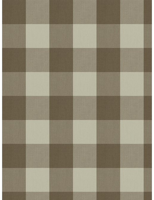 Ткань Fabricut Clean & Classic Indoor/Outdoor Checks & Stripes CampingCheck/Hemp