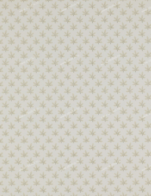 Обои Colefax and Fowler Ashbury 07984-04
