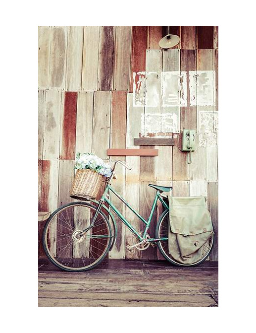 Панно и фотообои Decoprint Mood MD902035