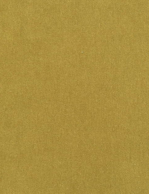 Ткань Bart Halpern Velveteen 18100-06