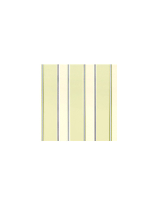 Ткань Thibaut Stripe Resource III F92206