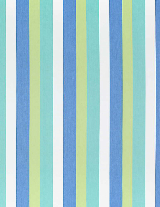 Ткань Thibaut Caravan Prints And Wovens W764116