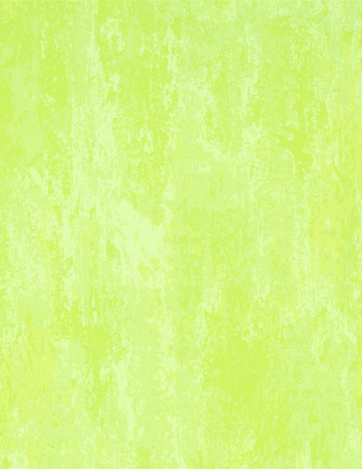 Обои Designers Guild Naturally III P555/13