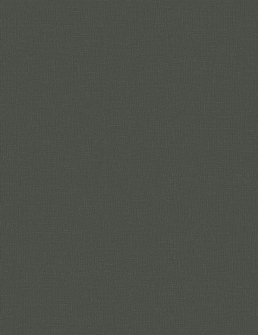 Обои Loymina Shade vol. 2 SDR1005