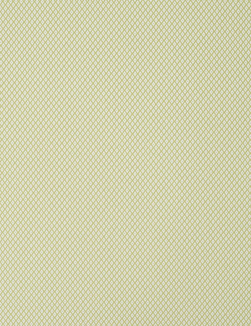 Ткань Jim Thompson Serge / Dorothee Outdoor N9012447007