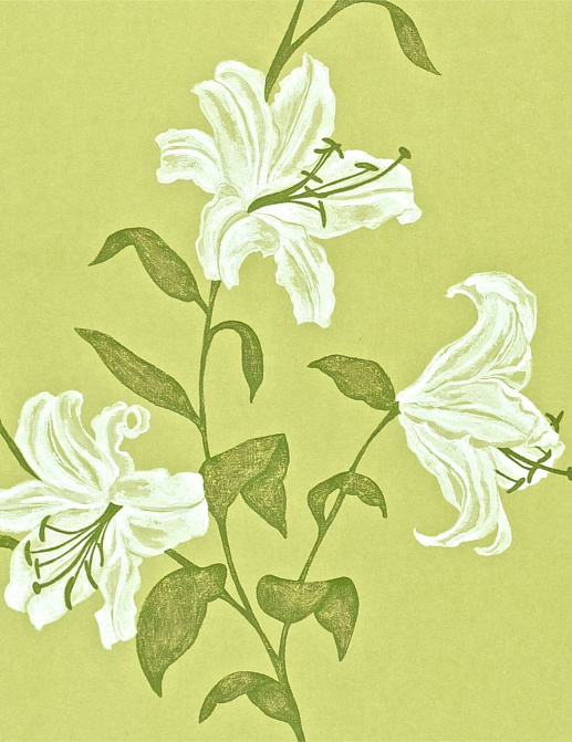 Обои Sanderson Wallpapers from a Painters Garden DAPGSE104