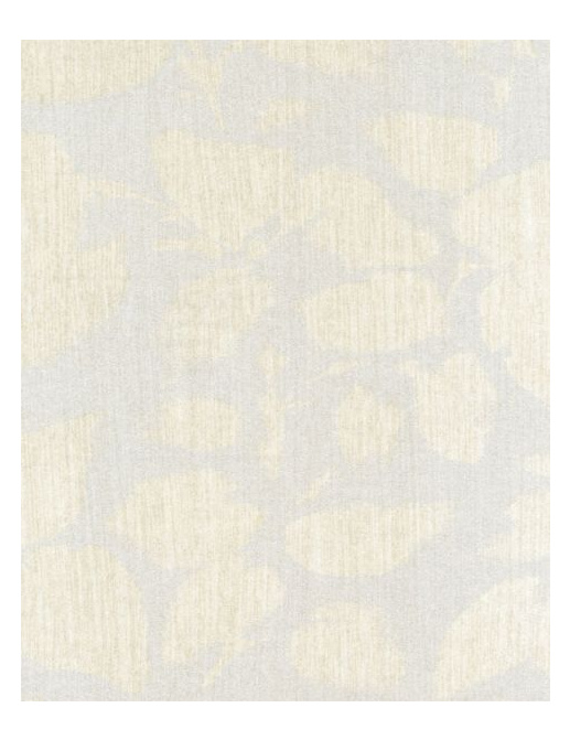 Обои Casamance Chromatic C890217
