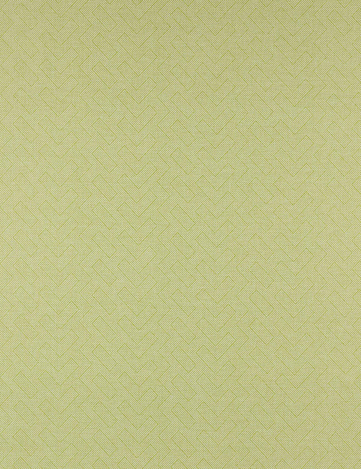 Ткань Manuel Canovas Bali M4063-04