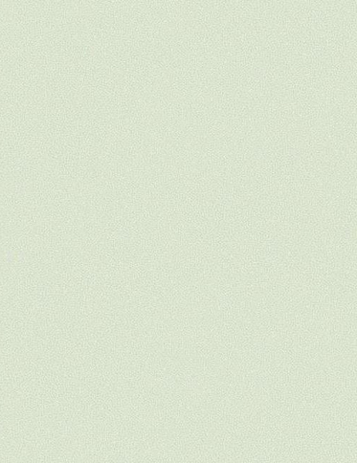 Обои York Candice Olson - Modern Nature CZ2408