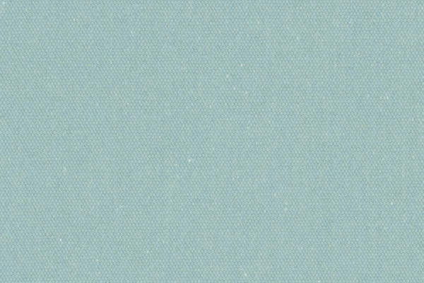 Ткань Designers Guild Allia F1795/24