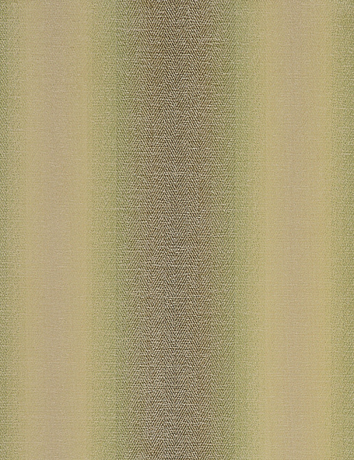Ткань Clarke & Clarke Palladio F0789/06