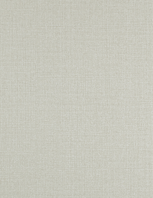 Обои Clarke & Clarke Reflections W0057/04