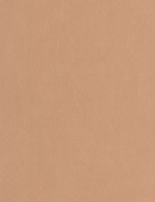 Обои Casadeco So Color 6 SOCO201003404