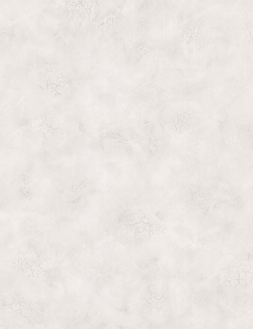 Обои A. S. Creation Atrium 8776-28