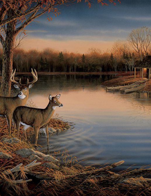 Панно и фотообои York Lake Forest Lodge RA0170M