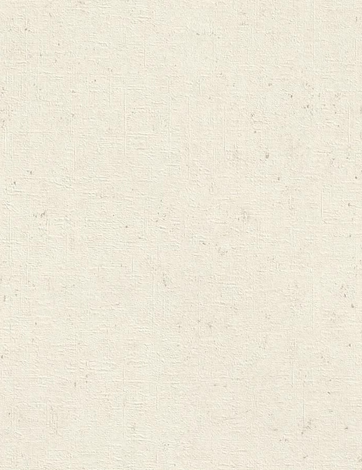 Обои Rasch Настенные структуры. Том 4 / Wall Textures XL Vol. 4 974201