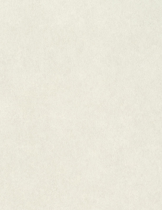 Обои Rasch Wall Textures XL Vol3 957327