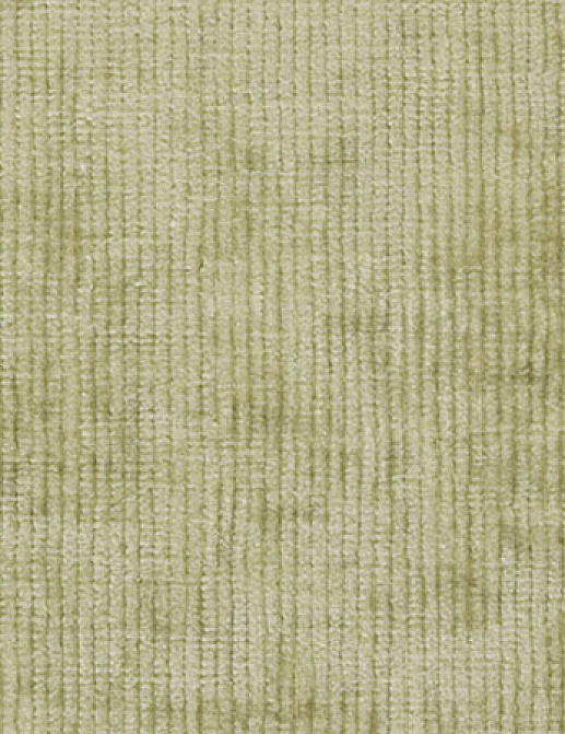 Ткань Designers Guild Ruggiero F1547/02