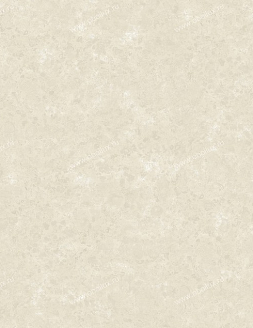 Обои York The Carlisle Company - Aged Elegance II CC9613