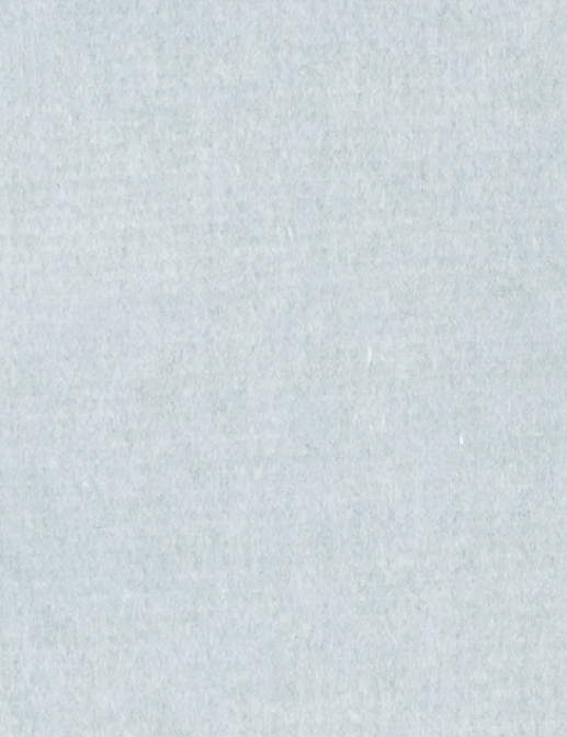 Ткань Alessandro Bini Velluto di Cotone G075/406