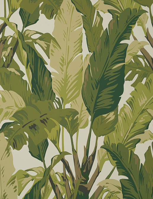 Обои Thibaut Tropics T10131
