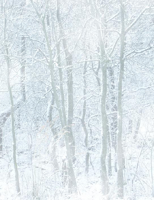 Панно и фотообои Affresco Фрески и фотообои ID12112