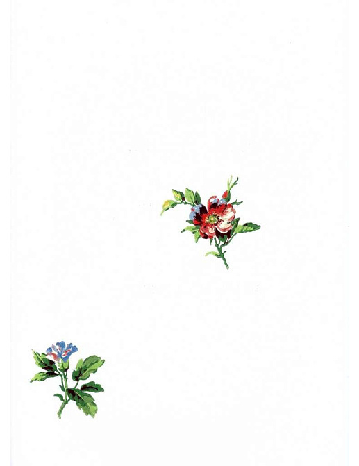 Обои York Ashford House - Flowers S.E. WU0722