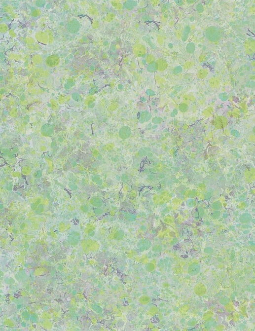 Обои Designers Guild Majolica PDG1025/02
