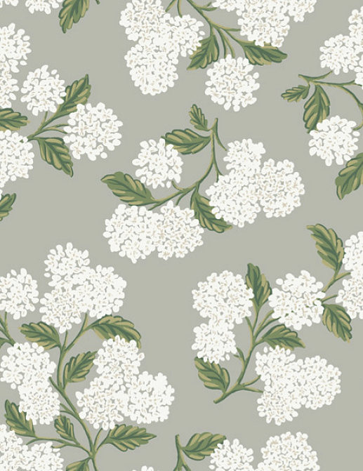 Обои York Rifle Paper Co RI5144
