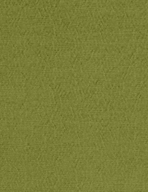 Ткань Designers Guild Anshu FDG2896/42