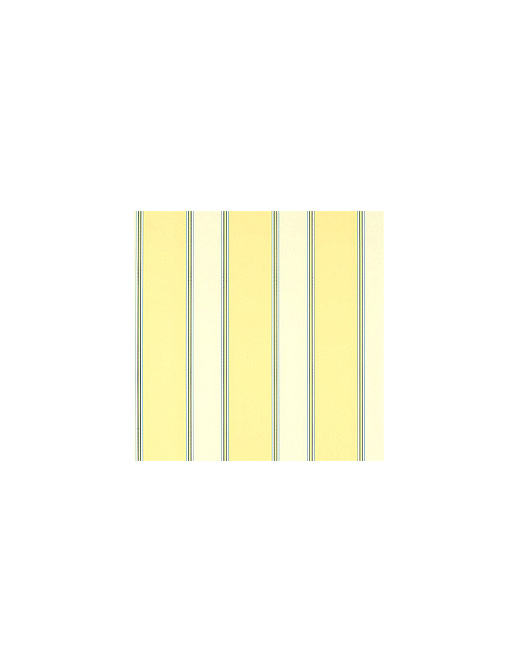 Ткань Thibaut Stripe Resource III F92207