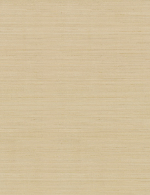 Обои York Natural Discovery (Candice Olson) NT6209N