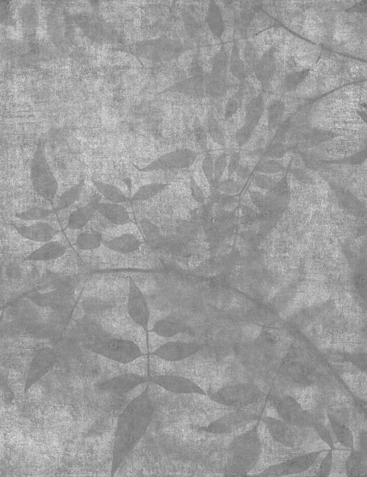 Панно и фотообои Glamora Glam Fusion GLGO104A