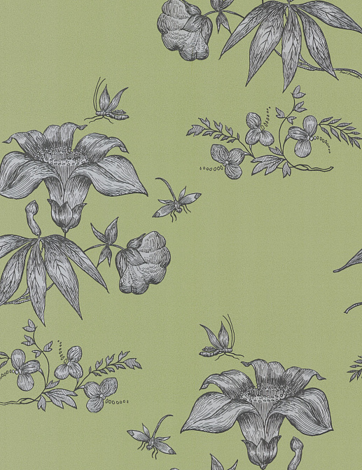 Обои Cole & Son Fornasetti 77/8028