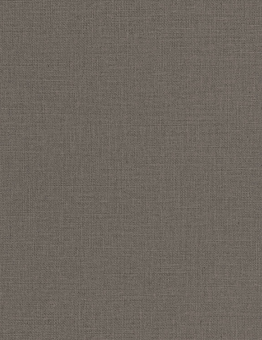 Обои Caselio Jute JTE104012690