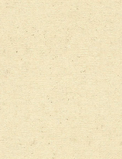 Обои Rasch Concrete 520842