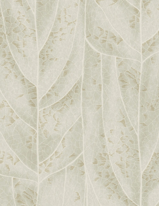 Обои York Natural Discovery (Candice Olson) NT6144