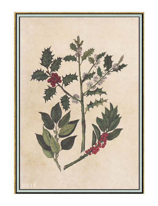 Панно и фотообои Iksel Scenic & Architectural Wallpapers Renaissance Herbier RH15