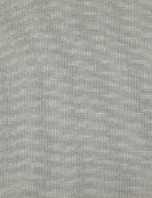 Ткань Daylight Canvas Canvas/Silver