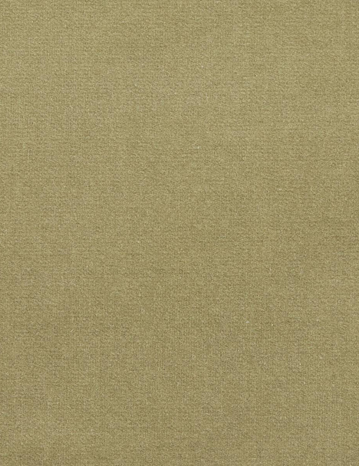 Ткань Loro Piana Doge Velvet AC3018/31