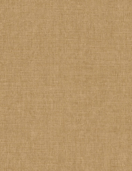 Обои Arte Indienne 18350