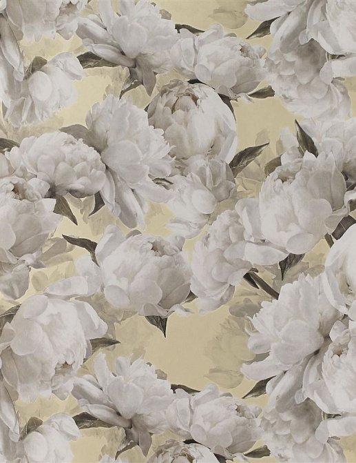 Обои Designers Guild Foscari Fresco with paint Litho PDG1094-04