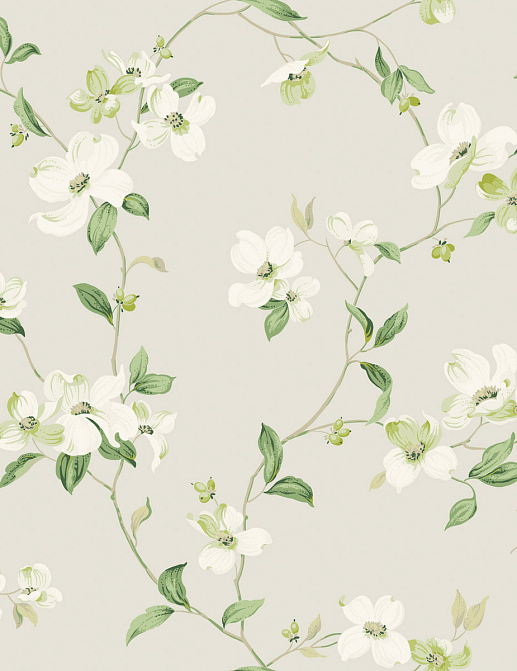 Обои York Blooms II Resource Library BL1762